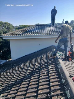 Roof painting and repairs