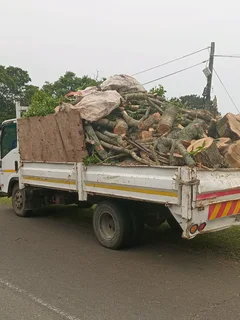 ACTION TREE FELLING SERVICES