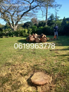 ACTION TREE FELLING SERVICES