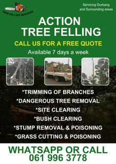 Tree felling services