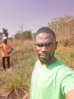 Looking for a job as a finishing carpenter, painting and any other domestic work