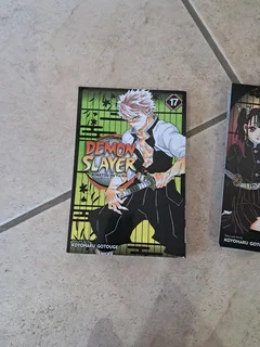 Demon slayer manga