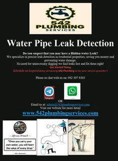 542 Plumbing Services Leak detection