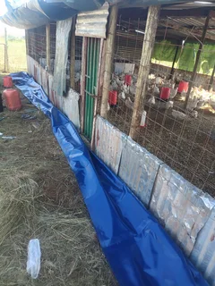 tentflair  tarpaulin