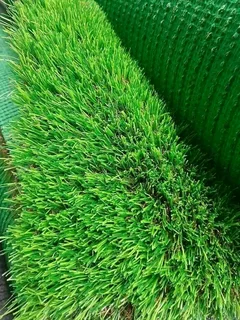Turf Grass