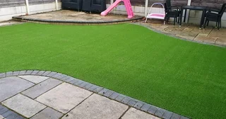 Turf Grass