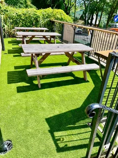 Fake Grass Evergreen