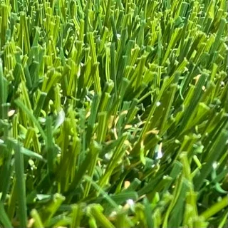 Fake Grass Evergreen