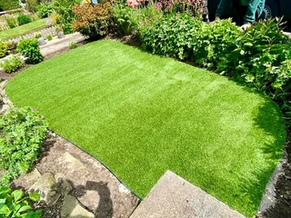 Evergreen Fake Grass