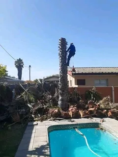 #tree Feller    We Offer The Following Services