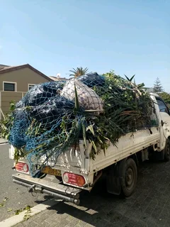 #TREE FELLER    WE OFFER THE FOLLOWING SERVICES