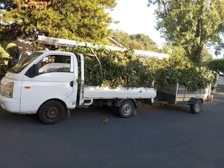#TREE FELLER    WE OFFER THE FOLLOWING SERVICES