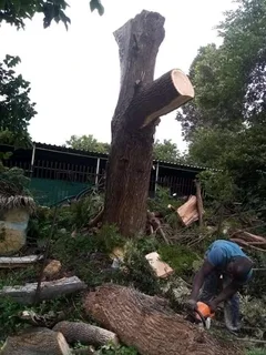 #TREE FELLER    WE OFFER THE FOLLOWING SERVICES