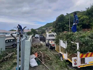 #TREE FELLER    WE OFFER THE FOLLOWING SERVICES