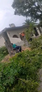 #TREE FELLER    WE OFFER THE FOLLOWING SERVICES