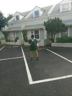 Pest Control and Cleaning Services