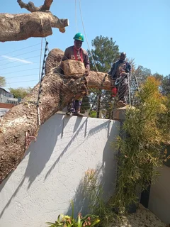 Tree Felling & Rubble Removal