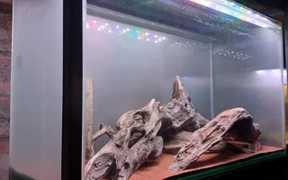 Aquarium Tank