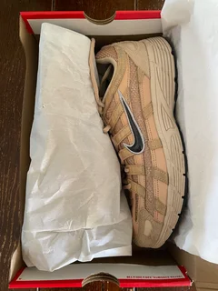 Nike P -6000 SE