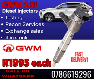 GWM 2.5L diesel injectors for sale