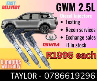 GWM 2.5L diesel injector for sale