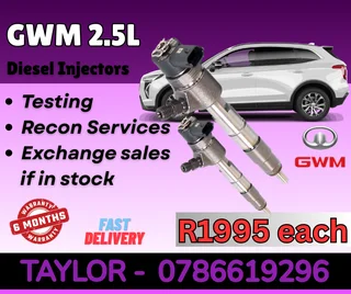 GWM 2.5L diesel injector for sale