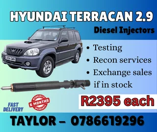 Hyundai Terrcan 2.9 Diesel Injector For Sale
