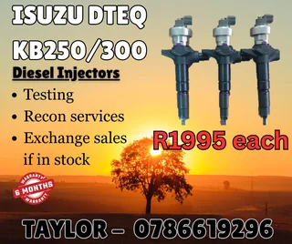 Isuzu Dteq Kb250/300 Diesel Injector For Sale