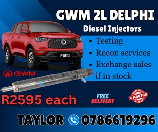 Gwm 2l Delphi Diesel Injector For Sale