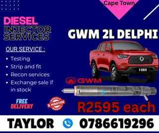 Gwm 2l Delphi Diesel Injector For Sale