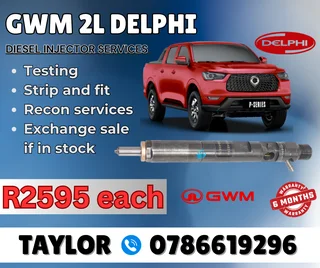 Gwm 2l Delphi Diesel Injector For Sale