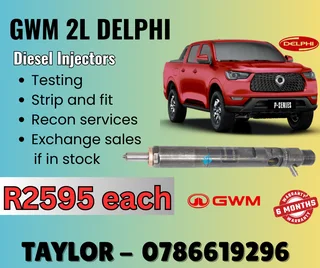 Gwm 2l Delphi Diesel Injector For Sale