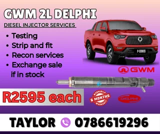 Gwm 2l Delphi Diesel Injector For Sale