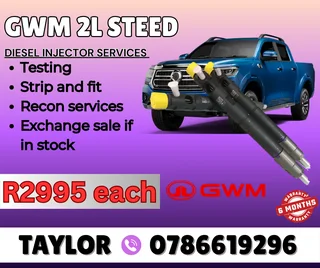 Gwm 2l Steed Diesel Injector Or Sale