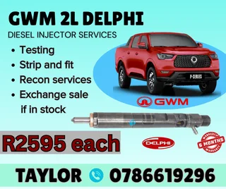 Gwm 2l Delphi Diesel Injector For Sale