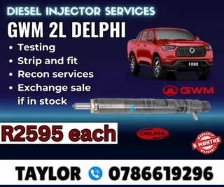 Gwm 2l Delphi Diesel Injector For Sale