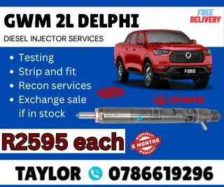 Gwm 2l Delphi Diesel Injector For Sale