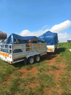 4, 5 and 8 to 12 TON TRUCKS FOR HIRE