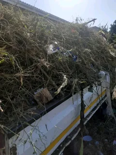 TRUCKS FOR HIRE AND REMOVALS