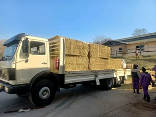 4, 5 And 8 To 12 Ton Trucks For Removals