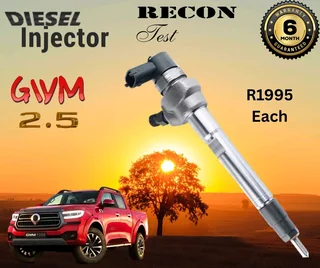 GWM 2.5 diesel injectors