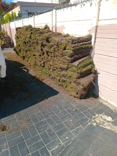 Grass installation