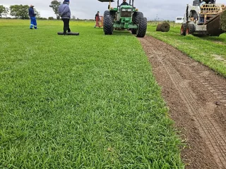 Fresh Cut Roll On Lawn #kikuyu #lm Berea #buffalo #supply N Installation