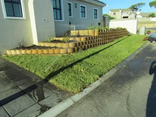 FRESH CUT ROLL ON LAWN #KIKUYU #LM BEREA #BUFFALO #SUPPLY N INSTALLATION