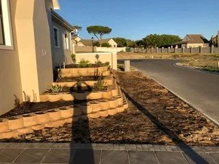 GO GREEN ALL YEAR ROUND ##KIKUYU #LM BEREA #BUFFALO #CYNODONE #GULF GREEN  &amp; INSTALLATION