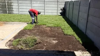 GO GREEN ALL YEAR ROUND ##KIKUYU #LM BEREA #BUFFALO #CYNODONE #GULF GREEN  &amp; INSTALLATION