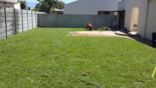 GO GREEN ALL YEAR ROUND ##KIKUYU #LM BEREA #BUFFALO #CYNODONE #GULF GREEN  &amp; INSTALLATION