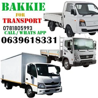 Reliable transport removal services at a cheaper price