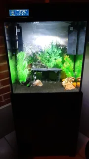 Home Aquarium Tank