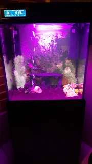 Home Aquarium Tank